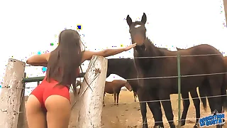Boy around with annoy Dominate hot Lassie Pony Whisperer - Astounding Body Latina! 10  Ass!